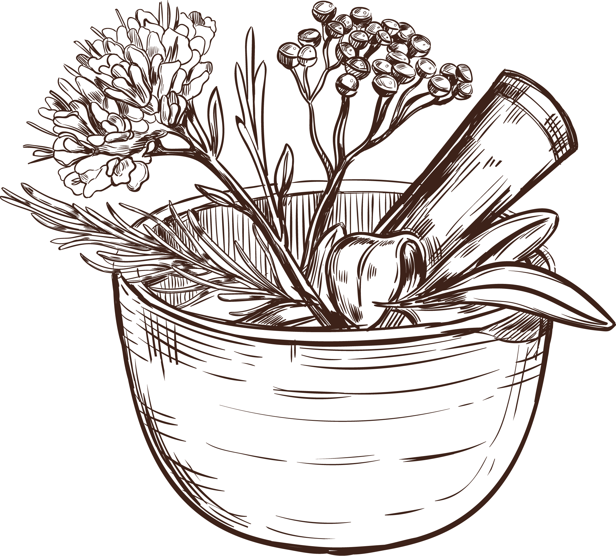 dessin d'un pilon et d'un mortier pour préparation de plantes