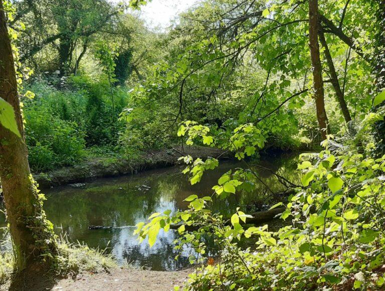 Promenade botanique espace naturel de Kermesquel 29 septembre 2025