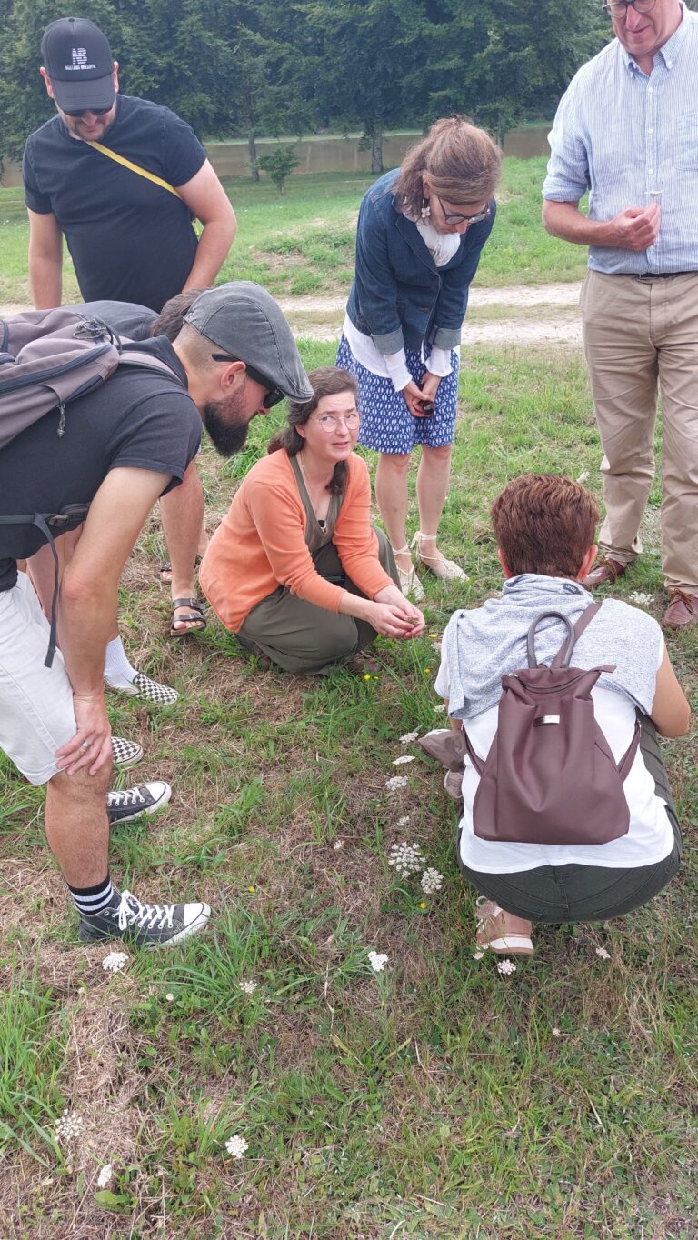 Promenade botanique au château de Loyat le 23 juillet 2026