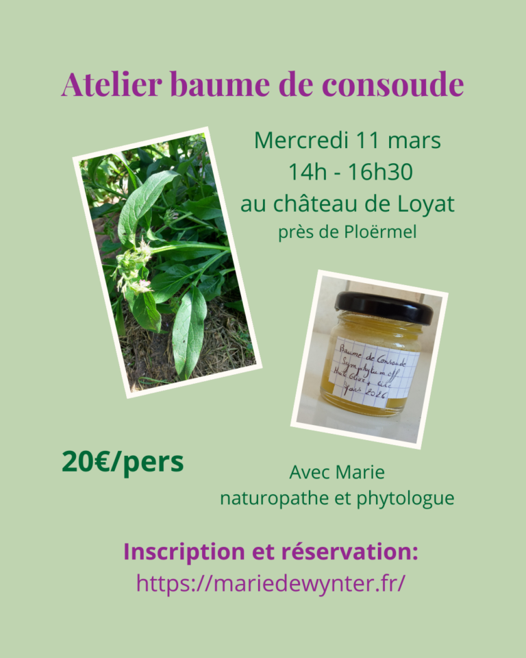Atelier Baume de consoude