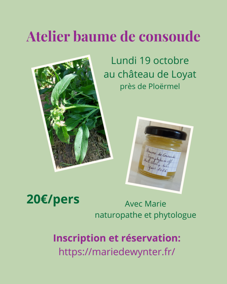 Atelier Baume de consoude